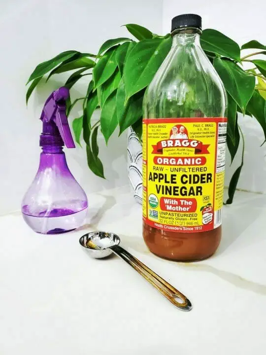 how-to-clean-refrigerator-with-vinegar-bottle-and-spray