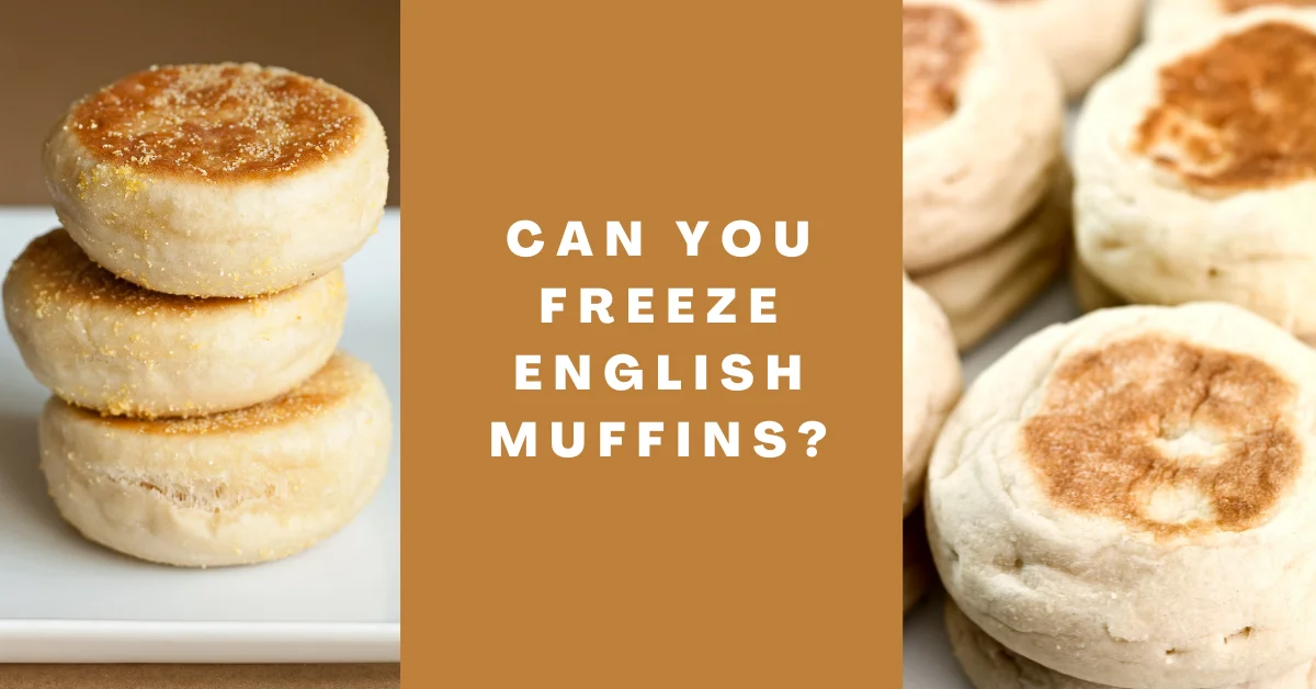 Can You Freeze English Muffins