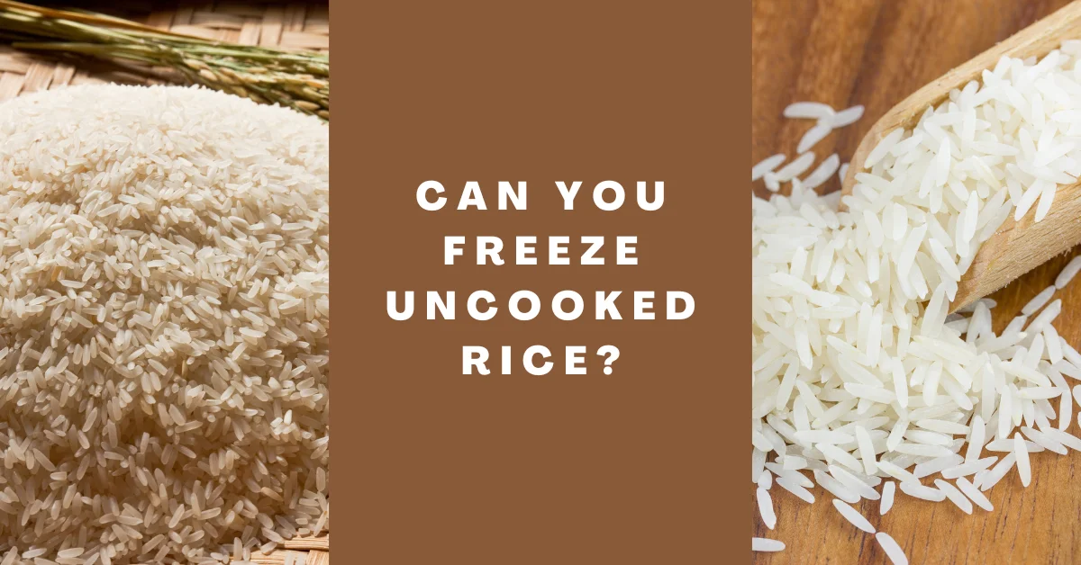 Can You Freeze Uncooked Rice