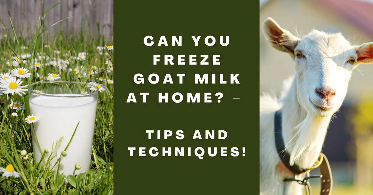Can You Freeze Goat Milk at Home_ – Tips and Techniques!