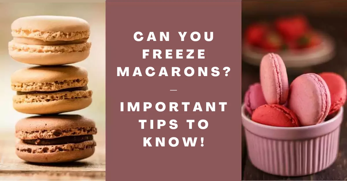 Can You Freeze Macarons_ – Important Tips to Know!
