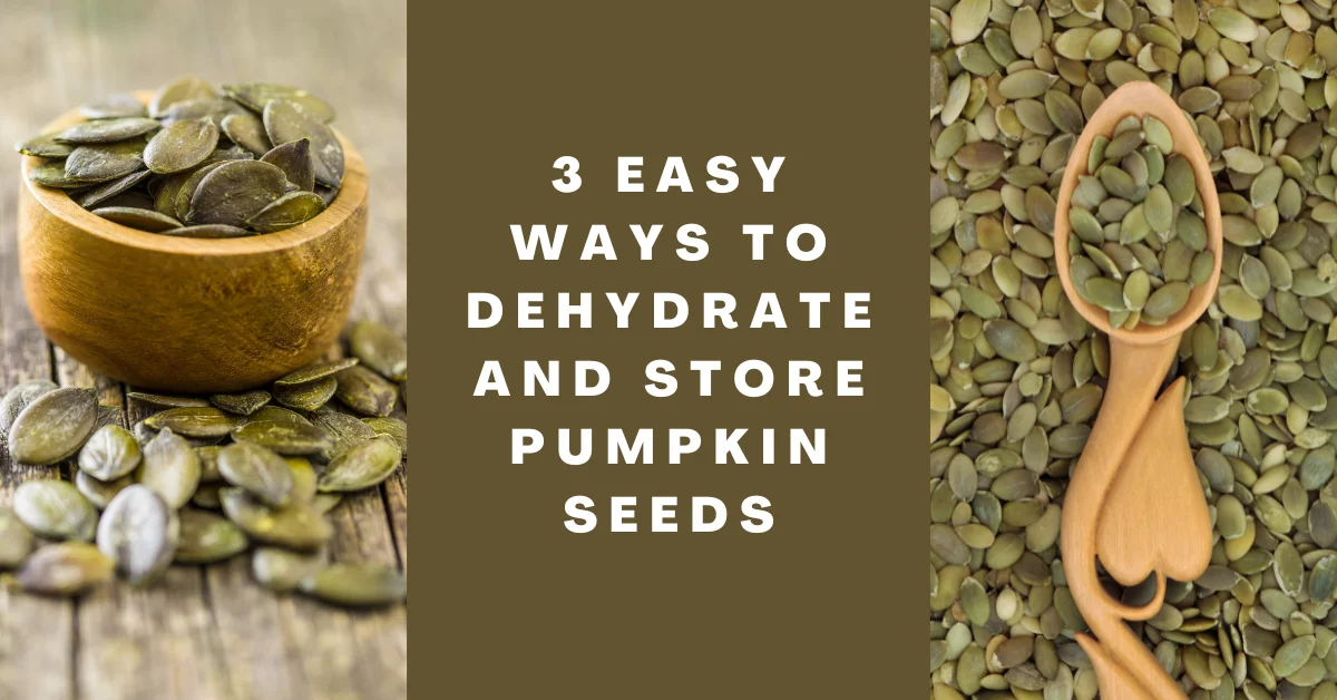Can You Dehydrate Pumpkin Seeds