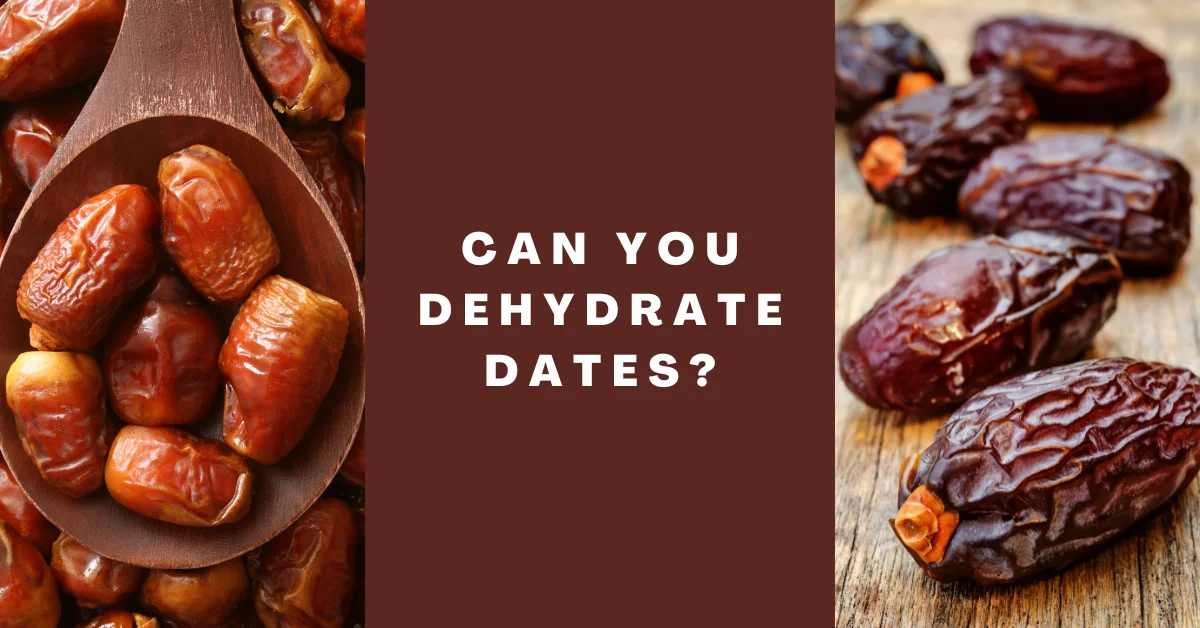 Can You Dehydrate Dates