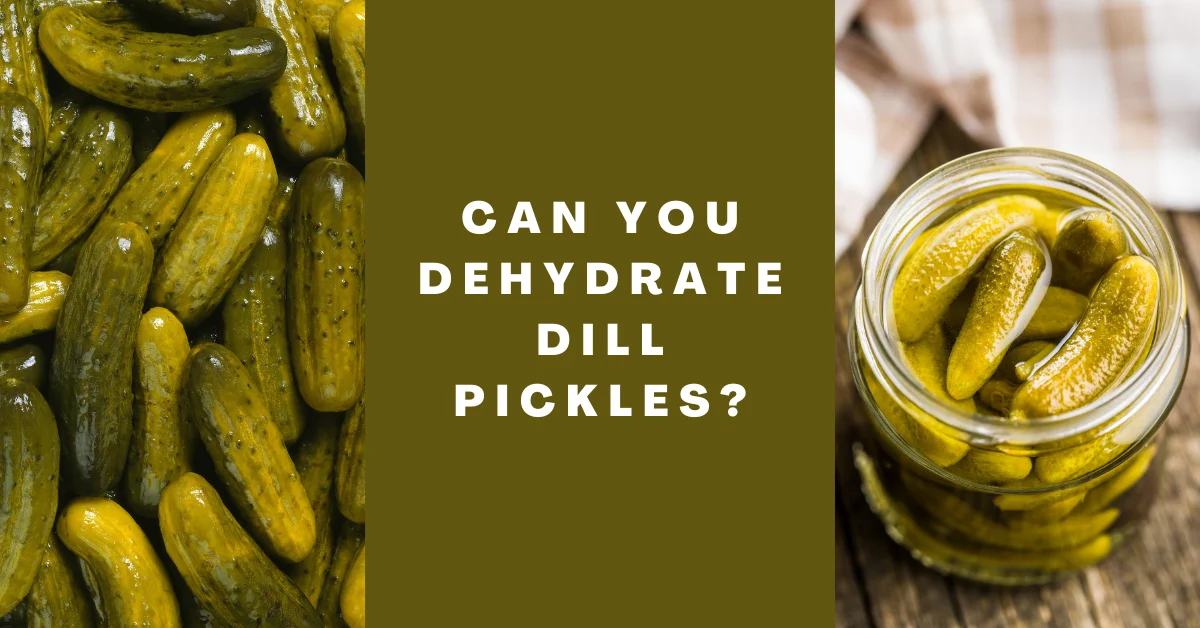 Can You Dehydrate Dill Pickles