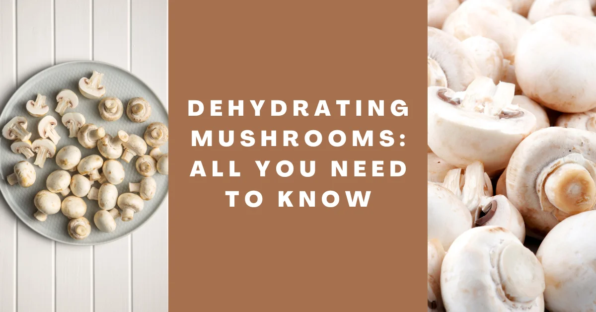 Can You Dehydrate Mushrooms
