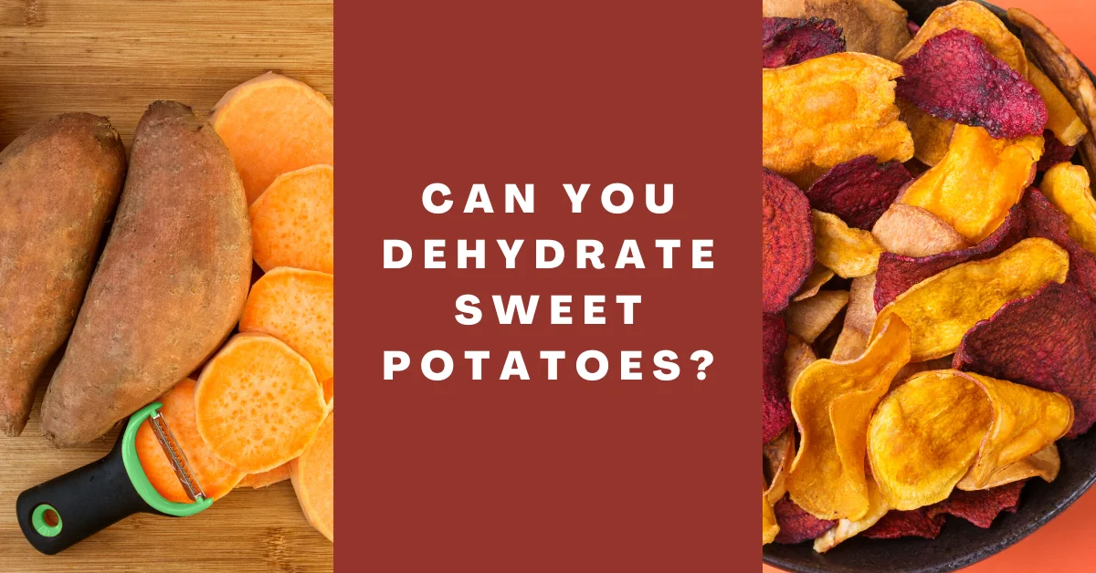 Can You Dehydrate Sweet Potatoes