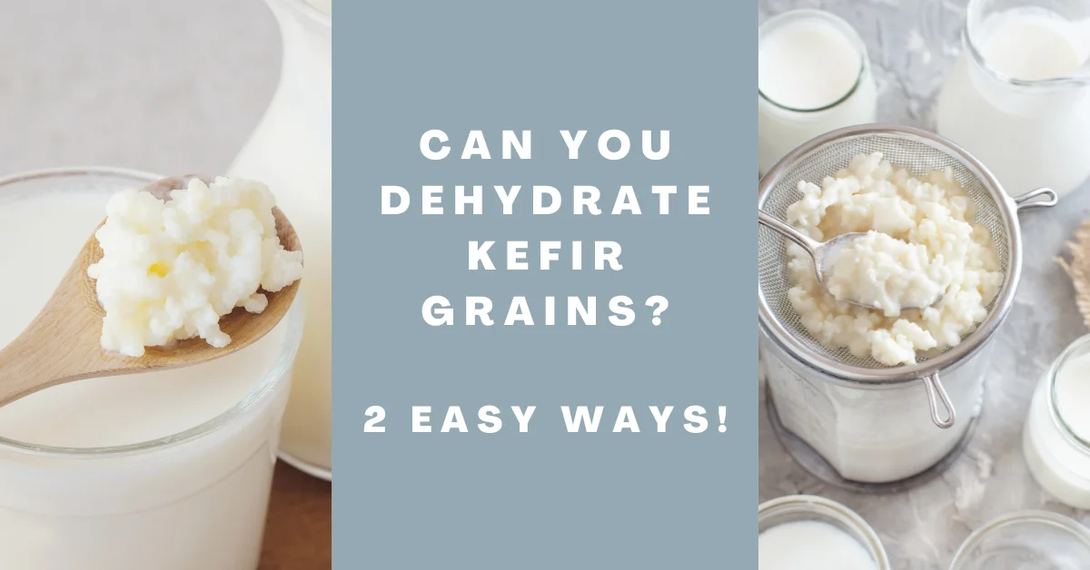 Can You Dehydrate Kefir Grains