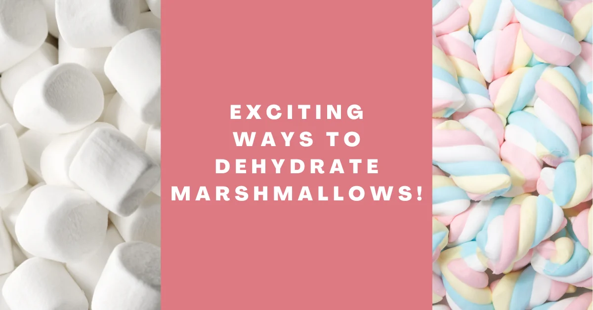 Can You Dehydrate Marshmallows