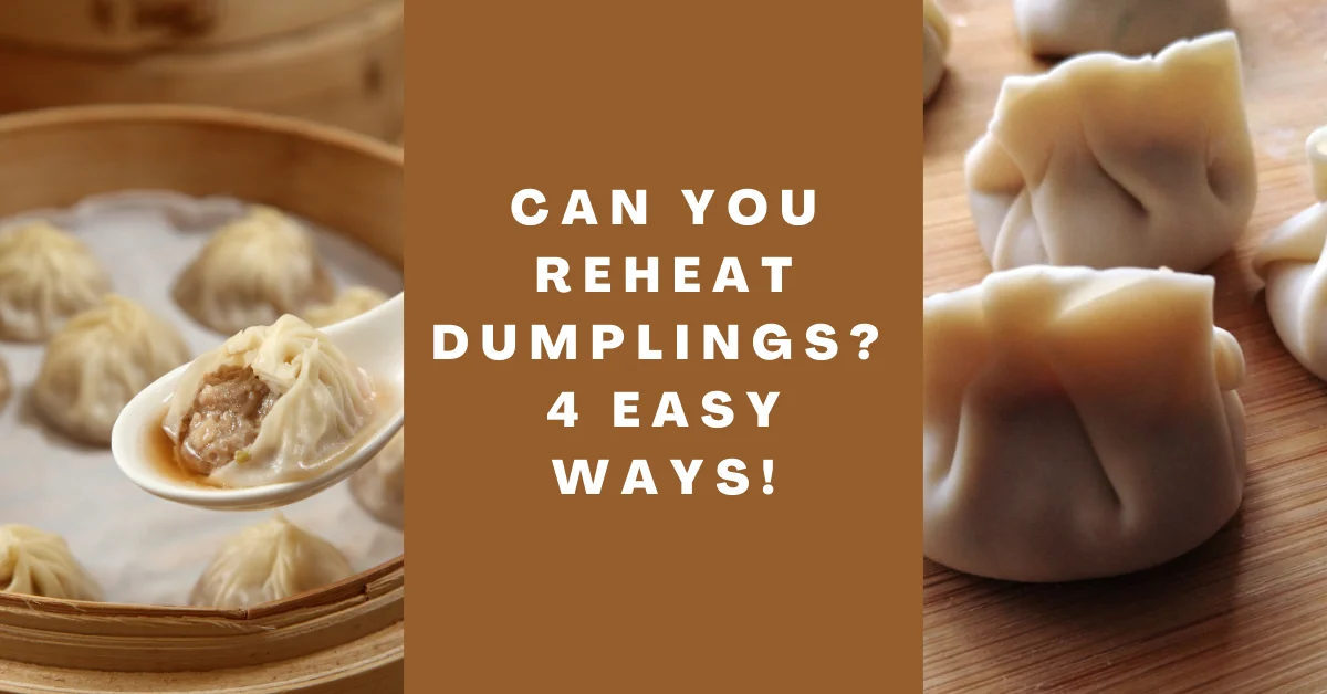 Can You Reheat Dumplings – 4 Easy Ways!