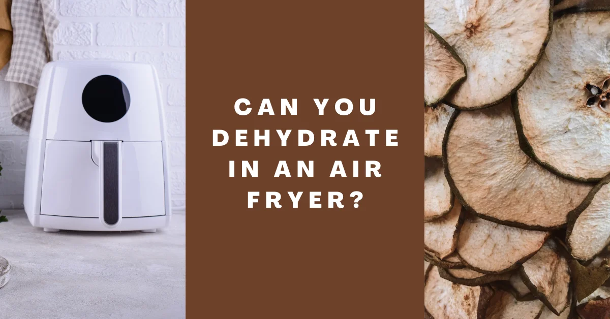 Can You Dehydrate in an Air Fryer