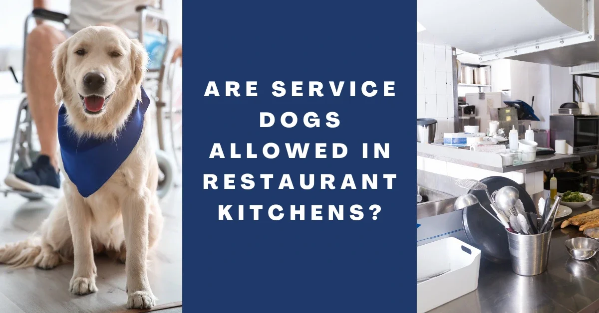Are service dogs allowed in restaurant kitchens