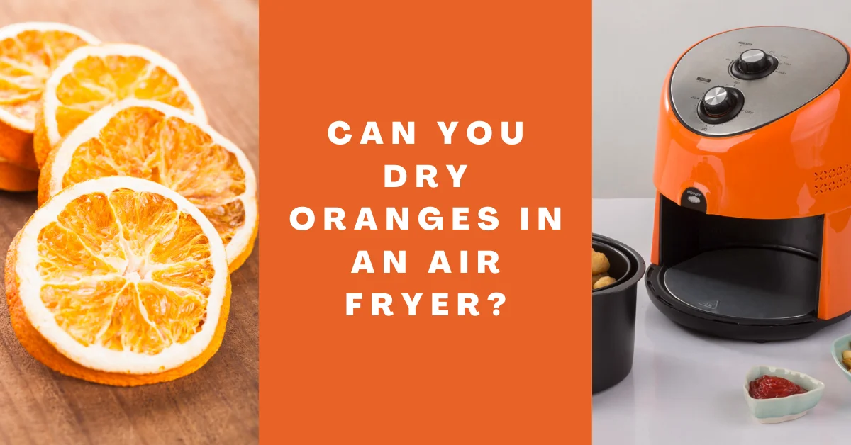 Can You Dry Oranges In An Air Fryer